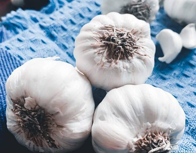 Benefits of garlic | garlic benefits in hindi | lahsun ke fayde | लहसुन खाने के फायदे