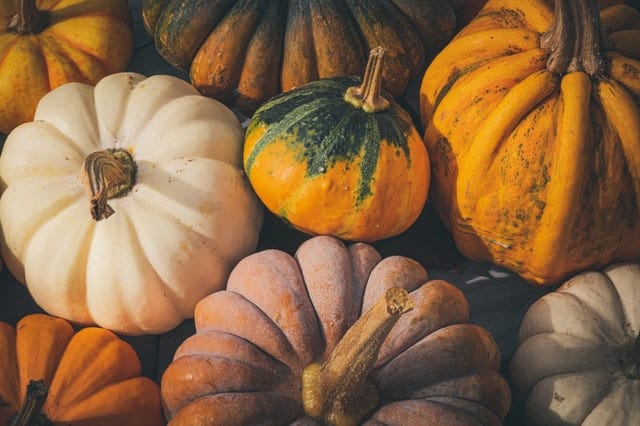 kaddu ke fayde | kaddu ke beej ke fayde | benefit of pumpkin | benefit of pumpkin seeds